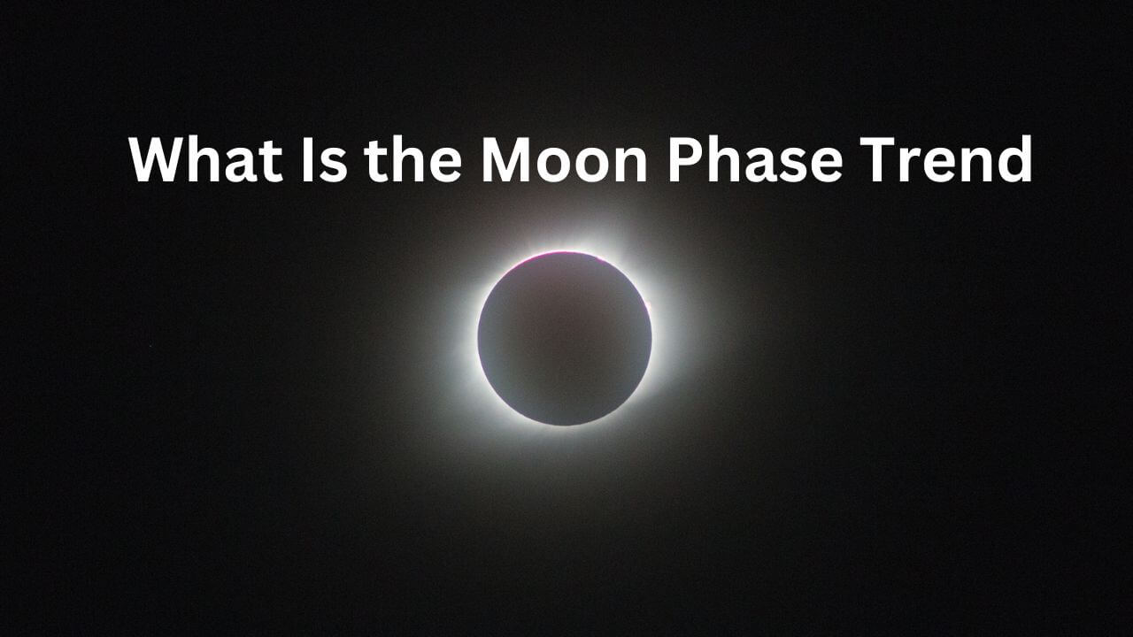 What Is the Moon Phase Trend