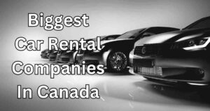 biggest car rental companies in canada