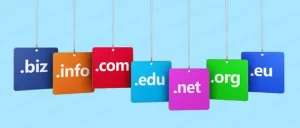 domain name